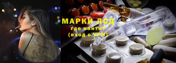 мет Алексин