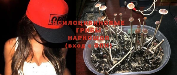 твердый Алексеевка