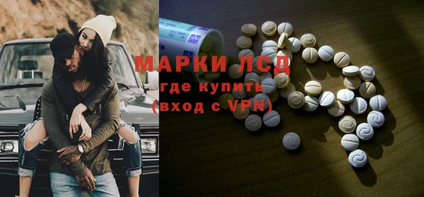 дмт Алзамай