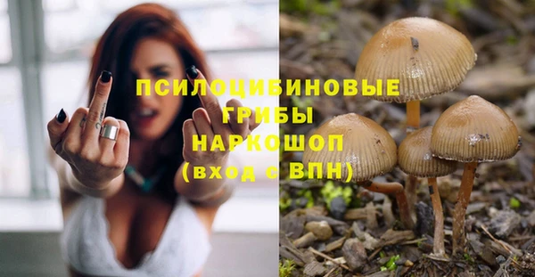 мет Алексин