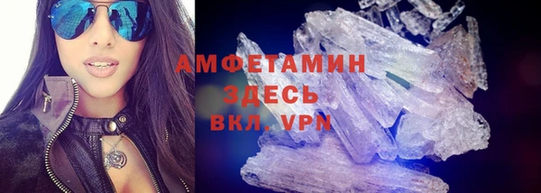 мет Алексин