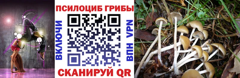 Галлюциногенные грибы MAGIC MUSHROOMS Дыгулыбгей